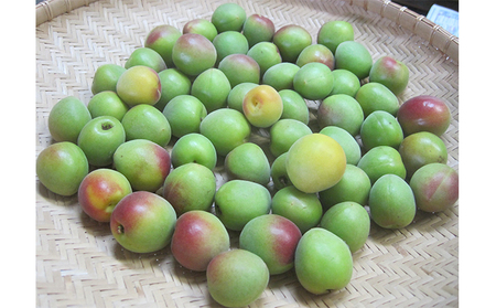 6月中旬～順次発送 青梅（紅映梅）2kg 2Lサイズ前後 秀と優の混合 野菜 ウメ