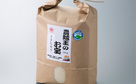 令和6年産 農賊王のお宝 特別栽培米イクヒカリ10kg[高島屋選定品] 玄米