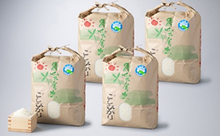 福井県若狭町産特別栽培米コシヒカリ 20kg[高島屋選定品] 玄米