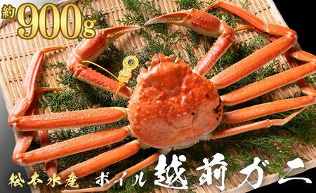 越前ガニ ボイル 約900g 高島屋 選定品 ズワイガニ かに 海鮮 海産物 海の幸 魚介 魚介類 越前かに 越前カニ 越前がに ずわいがに ずわい蟹 カニ 蟹 ボイルガニ 冷蔵 冷蔵配送 福井県 福井 若狭町 若狭