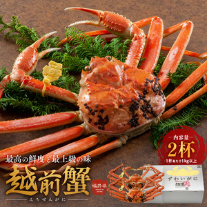 Ԍ 䥂 zOKj 1kgȏ 2t  HʂȂ{̖Ђ\ 䥂ŃKj YCKj Jj I CN 䌧 ዷ