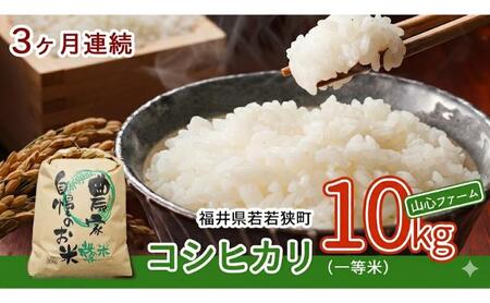 【3ヶ月連続】令和8年産福井県若狭町コシヒカリ（一等米）10kg（山心ファーム） お米 福井県産 甘い