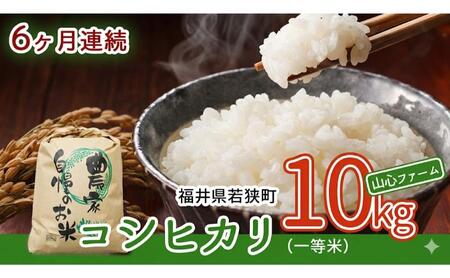 [6ヶ月連続]令和8年産福井県若狭町コシヒカリ(一等米)10kg(山心ファーム)