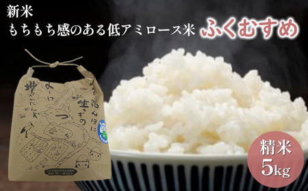 ys\zӂނ5kgiߘa7NxYĵA~[Xā@ʍ͔|ā@ዷEVR_  lC  H _ w엿