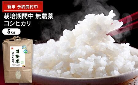 令和6年産 栽培期間中減農薬 コシヒカリ 5kg 玄米