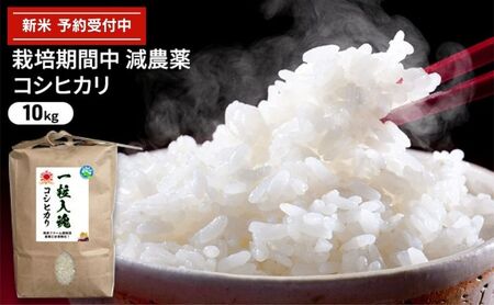 令和6年産 栽培期間中減農薬 コシヒカリ 10kg 白米