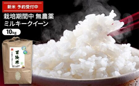 令和6年産 栽培期間中無農薬ミルキークイーン 10kg 玄米