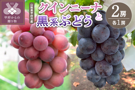 [ふるなび限定][2025年度配送分]山梨県甲府市産 クインニーナ・黒系ぶどう 2種各1房 FN-Limited
