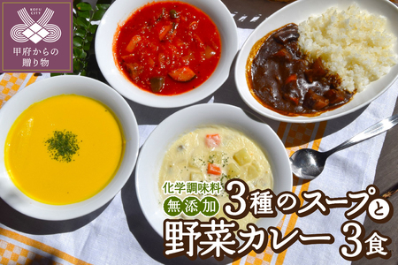 化学調味料無添加スープ3食&野菜カレー3食セット