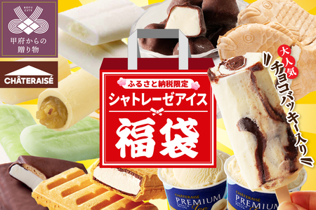 [ふるさと納税限定]大人気 チョコバッキーが必ず入る!! シャトレーゼ アイス福袋 10種 19個