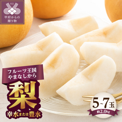 [ふるなび限定][2026年度配送分]梨 5〜7玉(約2.0kg) FN-Limited