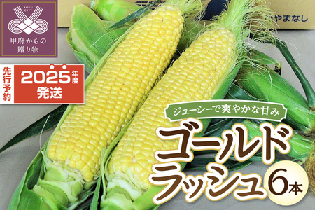 [2025年度配送分]とうもろこし「ゴールドラッシュ」 6本(2025年6月上旬〜下旬にかけて順次配送予定)