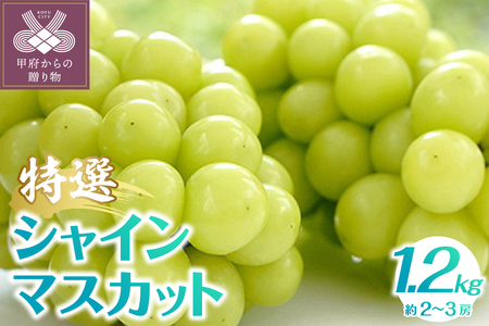 [2025年発送分]植原葡萄研究所の特選シャインマスカット1.2kg