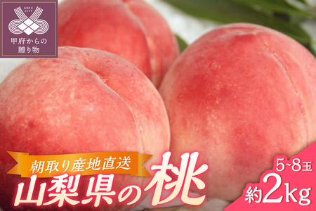 甲府市産　桃　約2kg（5～8玉）