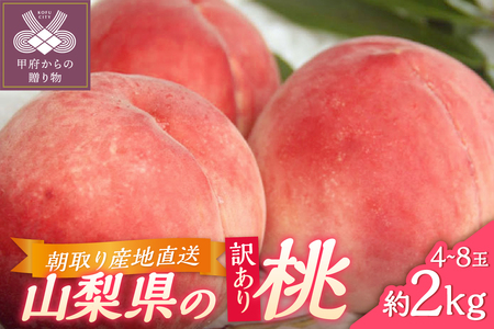 甲府市産　訳あり桃　約2kg（4～8玉）
