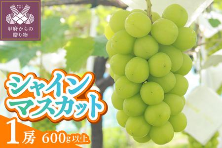 [2025年度配送分]甲府市産 シャインマスカット 1房入り 600g以上