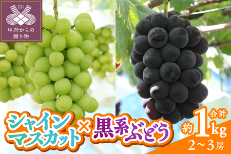 [2025年度配送分]甲府市産 シャインマスカット×黒系ぶどう 約1.0kg(2〜3房)