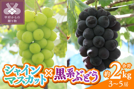 〈2026年度配送分〉甲府市産　シャインマスカット×黒系ぶどう　約2.0kg（3～5房）
