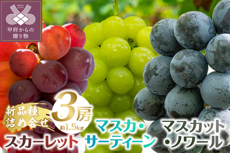 [2025年発送分]植原葡萄研究所の特選房選り詰め合せ