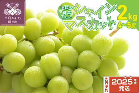 [2025年配送分]甲府市産自然塾のシャインマスカット2kg(4〜5房)