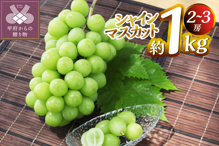 【2026年度配送分】甲府市産　シャインマスカット　約1.0kg（2～3房）