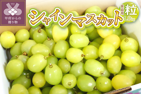 〈2026年度配送分〉シャインマスカット 家庭用（粒 1.0kg）〈KF-3〉