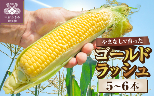 [2026年度配送分]ゴールドラッシュ 5〜6本