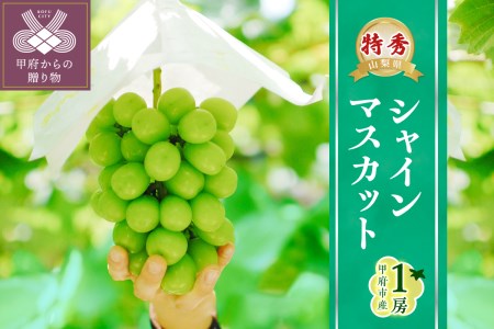 2023年発送！【山梨県甲府市産】Inakakara「特秀品シャインマスカット」1房