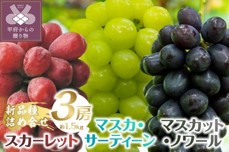 [2025年発送分]植原葡萄研究所の新品種詰め合せ