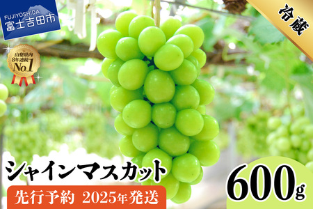 [2025年先行予約]山梨県産 シャインマスカット 600g フルーツ シャインマスカット 果物 旬 高級 山梨 富士吉田