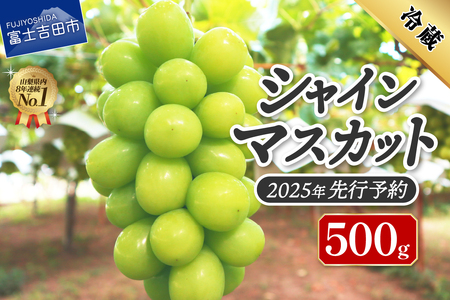 [2025年先行予約]ジューシーで甘さ抜群 厳選シャインマスカット500g シャインマスカット ぶどう シャイン フルーツ 果物 先行予約 山梨 富士吉田