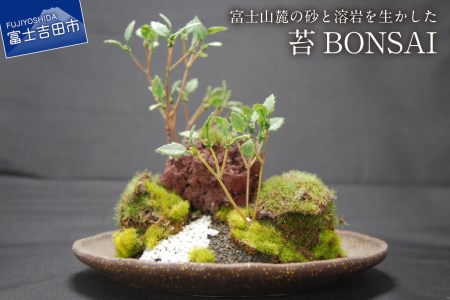 富士山麓の砂と溶岩を使った『和モダン 創作 苔BONSAI』 (大)〈丸皿