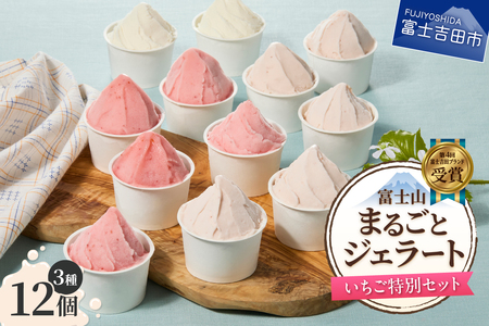 富士山まるごとジェラート いちご特別セット ジェラート 氷菓子 スイーツ 夏いちご 詰め合わせ 山梨 富士吉田