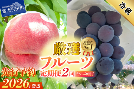[2026年発送 先行予約][2回定期便]厳選 旬のフルーツ定期便(桃2kg・黒ぶどう1kg以上) もも 黒ブドウ ぶどう 果物 贅沢 たっぷり 定期便2回 フルーツ 山梨 富士吉田市