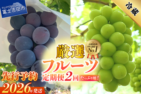 [2026年発送 先行予約][2回定期便]厳選 旬のフルーツ定期便(黒ぶどう1kg以上・シャインマスカット1kg以上) シャイン マスカット 黒ブドウ ぶどう 果物 贅沢 たっぷり 定期便2回 フルーツ 山梨 富士吉田市