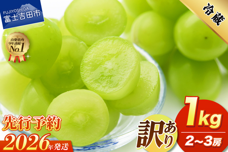 2026年発送先行予約 訳あり シャインマスカット1kg （ 2～3房 ）  フルーツ シャイン