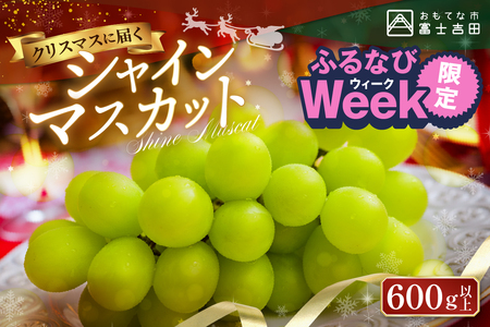 yӂȂWEEKΏہzy NX}X ɓ͂zI VC}XJbg 600g t[c VC}XJbg FN-Limited-PR