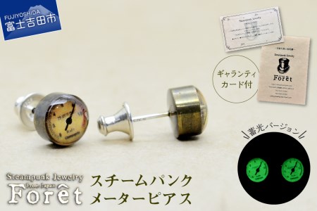 Steampunk スチームパンク メーターピアス ジュエリー