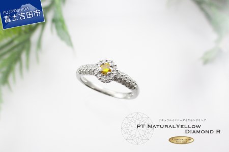 天然ダイヤモンドリング イエローダイヤモンド プラチナ 指輪 リング ジュエリー ダイヤ 宝石 PT プラチナリング 指輪アクセサリー 鑑別カード・品質保証書付 KT1103 