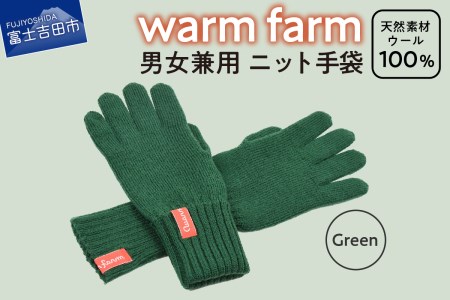手袋 光吸収発熱ウール 「 ウォームファーム ニット手袋 」 グリーン 暖かい ウール 発熱素材 レディース メンズ 秋 冬