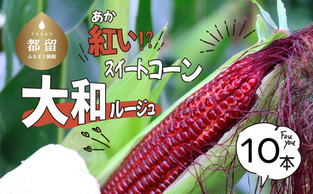 [2025年先行予約]紅いスイートコーン 大和ルージュ