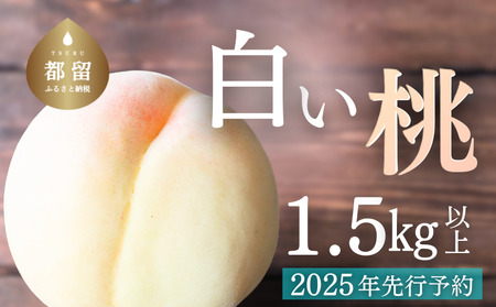 山梨県都留市産[2025年先行予約]日本一の産地 山梨県産 朝採れ白い桃 1.5kg以上 (5〜7玉) もも 桃 モモ フルーツ