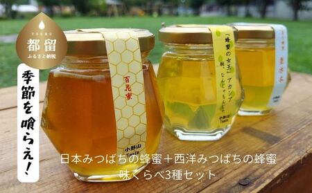 日本みつばちの蜂蜜+西洋みつばちの蜂蜜 味くらべ3種セット 100g×3