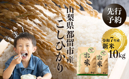 [令和7年産新米・予約]山梨県都留市産こしひかり[10kg] コシヒカリ こしひかり 米 こめ お米 新米 先行予約