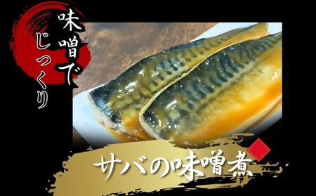 サバの味噌煮 鯖 さば 味噌煮 魚 切り身