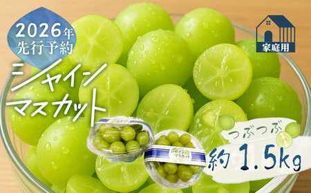 y2026Ns\zƒpԂԁ@VC}XJbgi1.5kgjbx Ȃ Â t[c ʕ  uhE Ԃǂ Yn  R ss