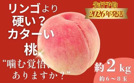 [2026年 先行予約]日本一の産地山梨県産 朝採れカターい桃2Kg(5〜8房)|先行 先行予約 2026年 山梨 桃 もも モモ 硬い桃 固い桃 フルーツ