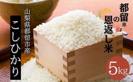 [ふるさと納税][令和7年産 新米]山梨県都留市産 コシヒカリ 5kg|精米 産地直送 送料無料[都留市の恩返し米]