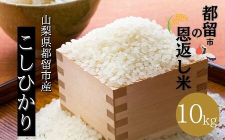 yӂ邳Ɣ[Łzyߘa7NY VāzRssY RVqJ 10kgi5kg×2jb Yn yss̉Ԃāz