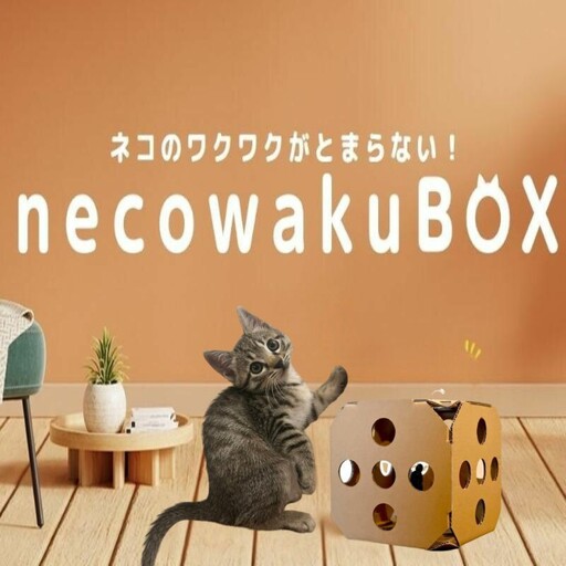 necowakuBOX